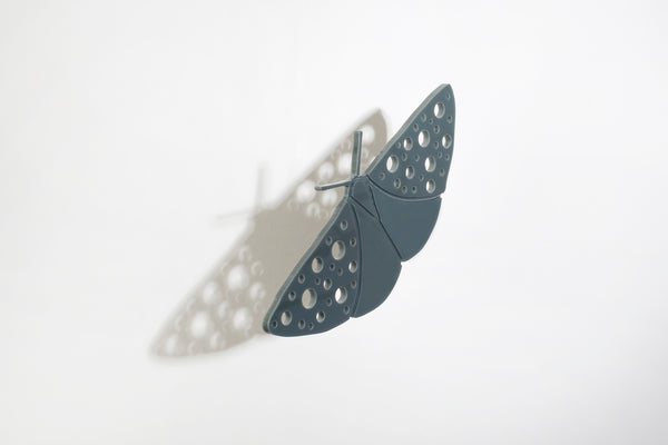 Brooch, moth
