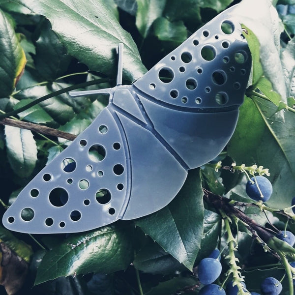 Brooch, moth