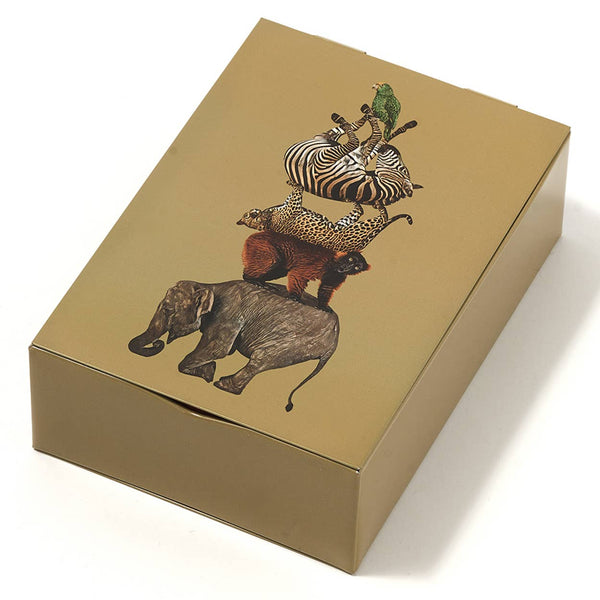 Pločevinasta škatla / Safari