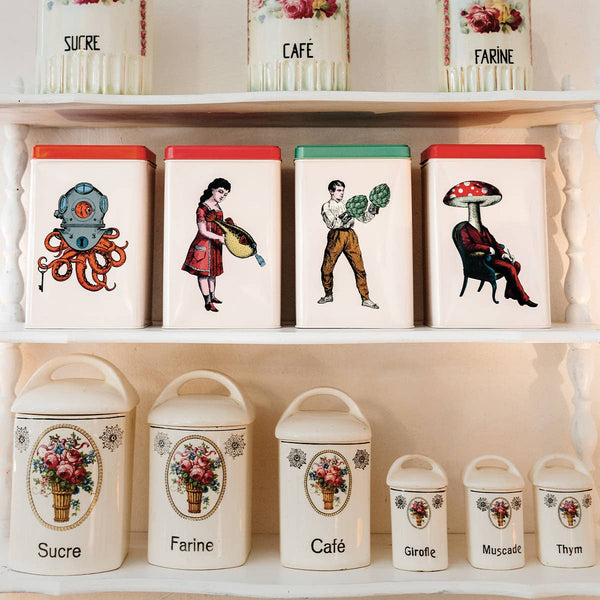 Kovinska škatla / Scaphopoulp