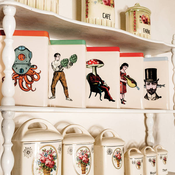 Kovinska škatla / Scaphopoulp